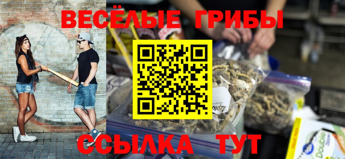 Шебекино  Псилоцибиновые грибы ЛСД  Галлюциногенные грибы прущие грибы  Вход с VPN 