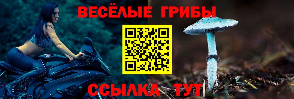 Псилоцибиновые грибы прущие грибы Шебекино