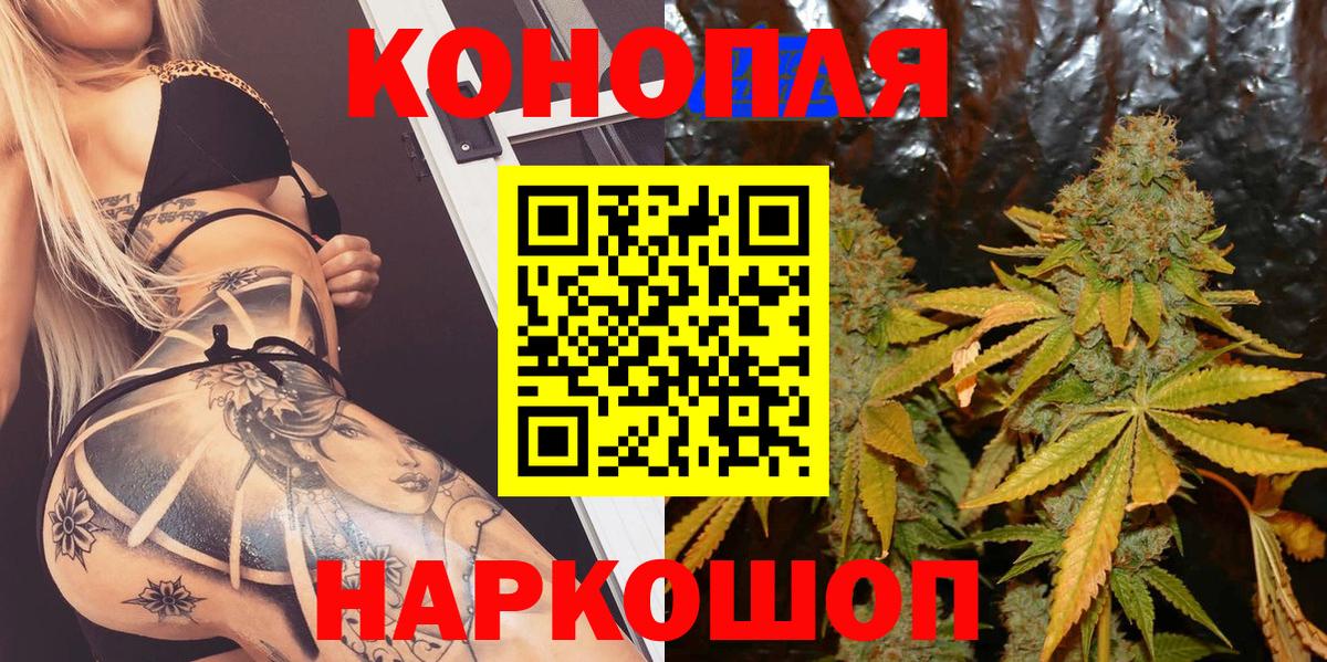 Бошки Шишки планчик  Вход с VPN  Каннабис THC 21%  Бошки Шишки OG Kush  Шебекино 